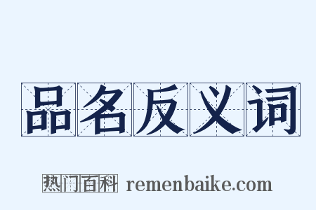 品名反义词是什么意思的图片